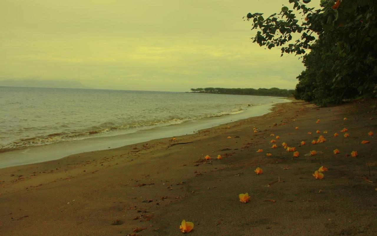 Fx72 Beach Resort Maumere Ngoại thất bức ảnh